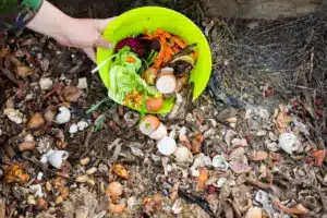 Composting Organic Food Scraps 