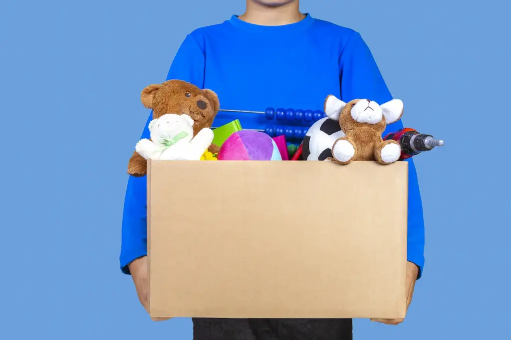 A Boy Holding a Box of Donation Toys Foster Care System