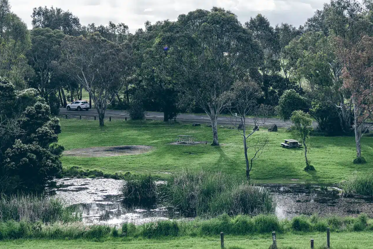 A Beautiful View of Yan Yean Reservoir Park