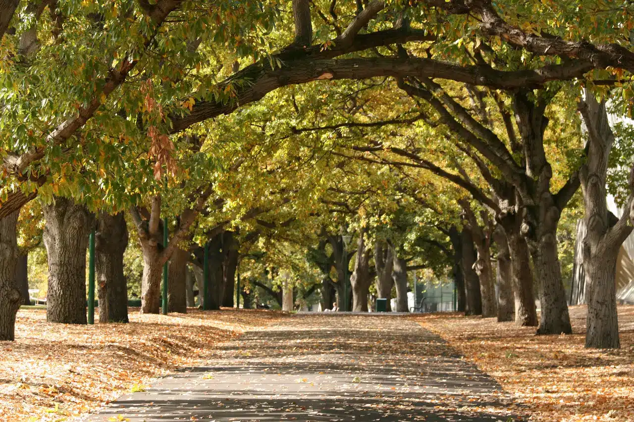 Carlton Gardens Park in Melbourne City