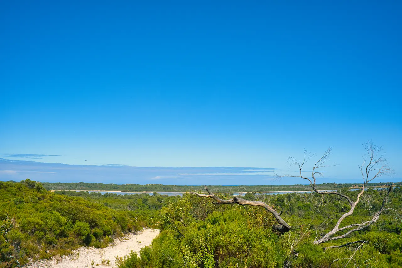 Hiking Trail Leading to Lake Preston