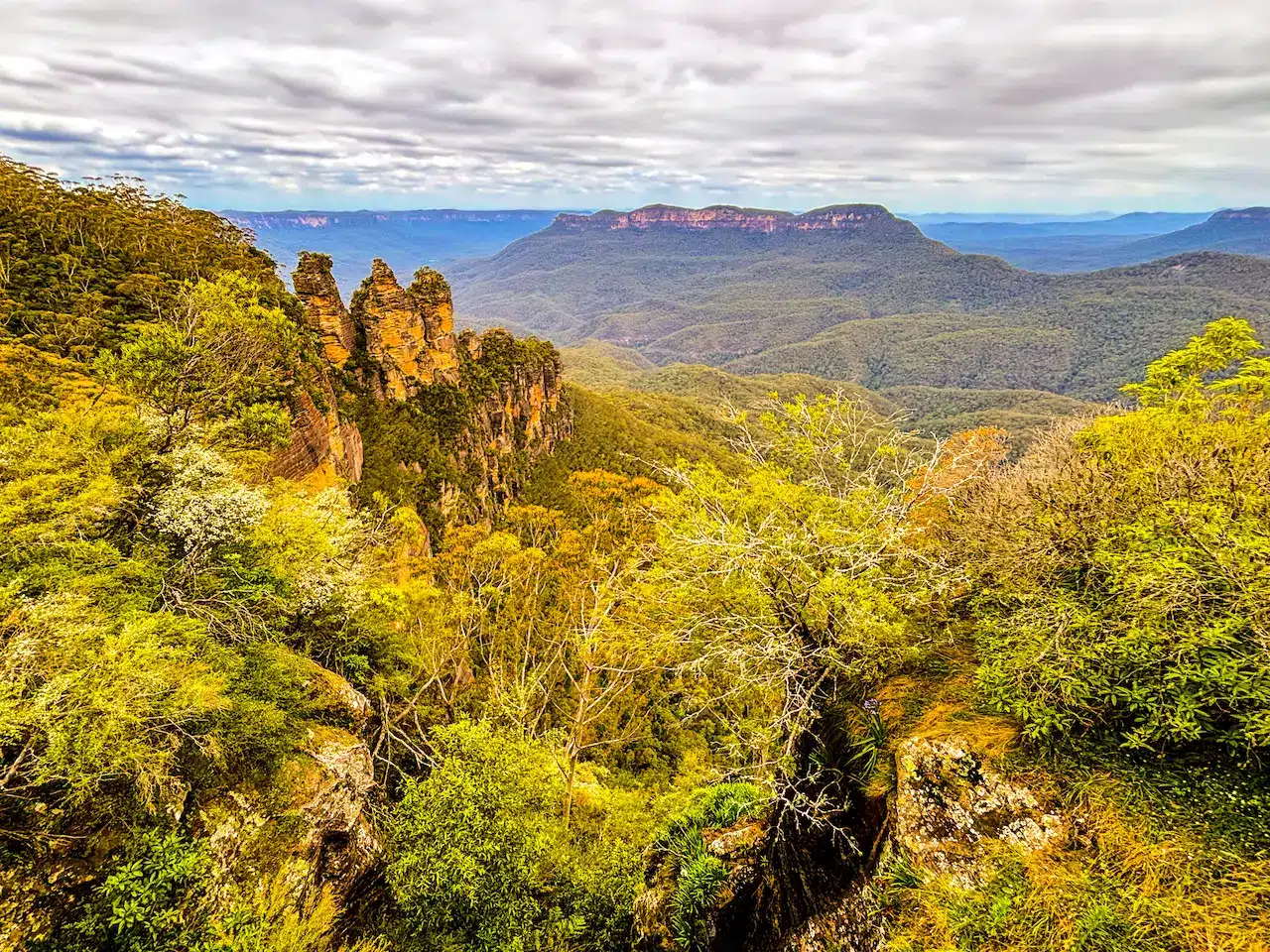 Nature Scenery in Christmas Hills