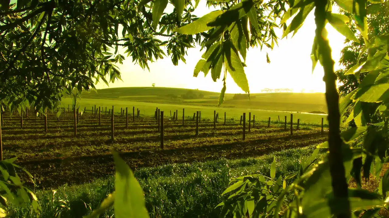 Nutfield Farm in Australia