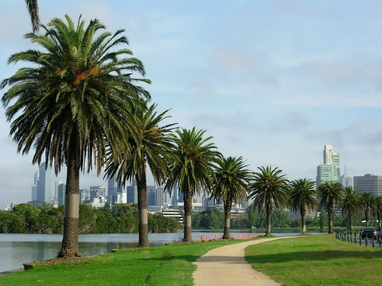 Palm Tree Road of Albert Park in Melbourne