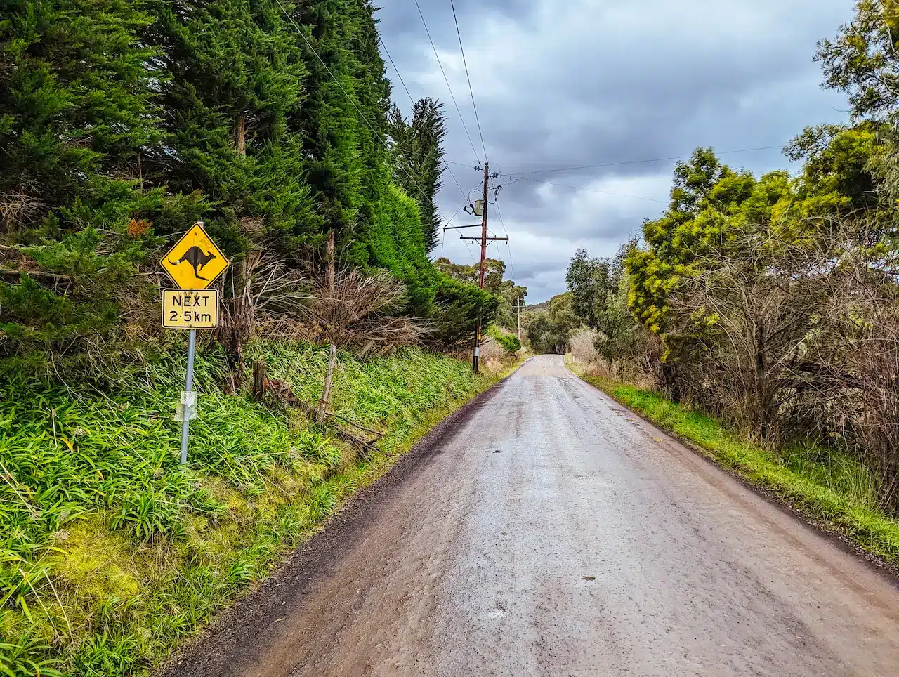 Rural Road in Arthurs Creek