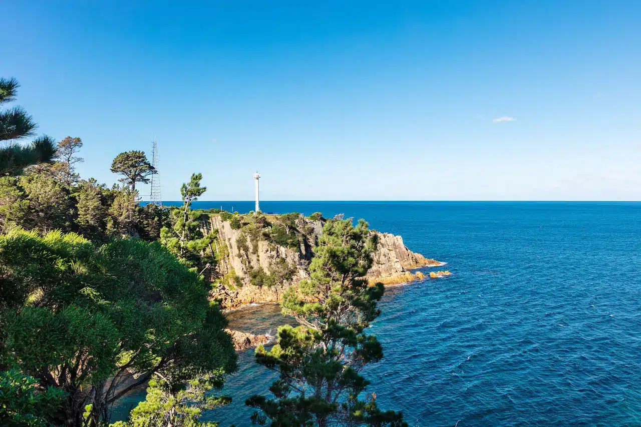 Scenic Coastal Views at Eden Park in Australia
