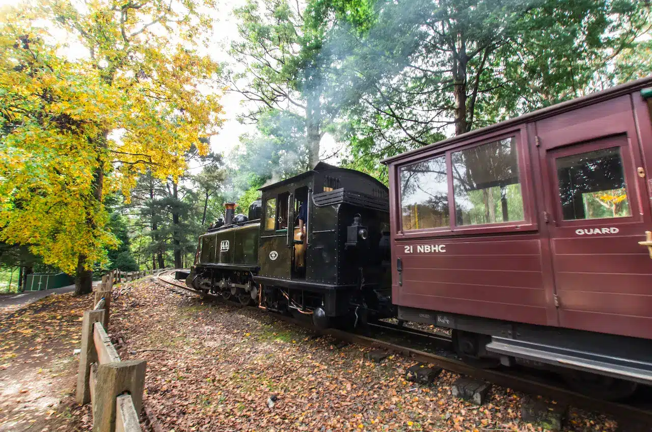 Upper Ferntree Gully Steam Train at Emerald Lake