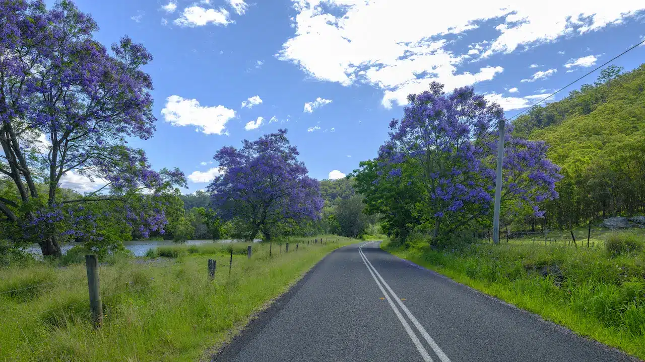 Views on the St Albans Road near Wisemans Ferry