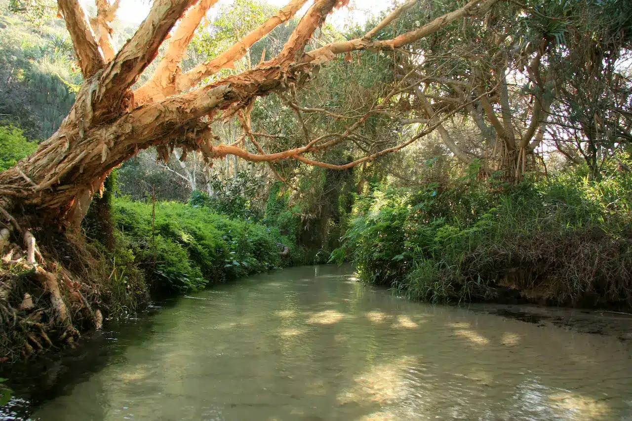Watsons Creek Australia